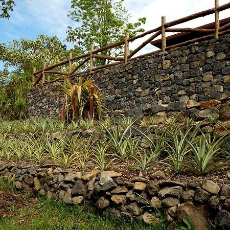 Finca Estacion Descansos Bed & Breakfast Paraiso  Ngoại thất bức ảnh