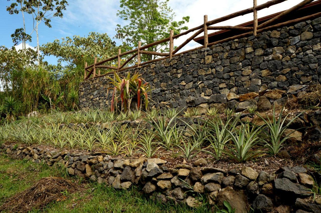 Finca Estacion Descansos Bed & Breakfast Paraiso  Ngoại thất bức ảnh